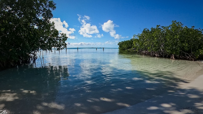 02 LORES Isla Contoy Beach Manglar-1