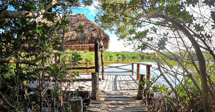 20 - LORES - Isla Contoy - Laguna muelle-1-1