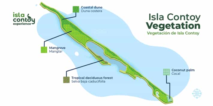 mapa isla contoy vegetacion 1200x600-02-1