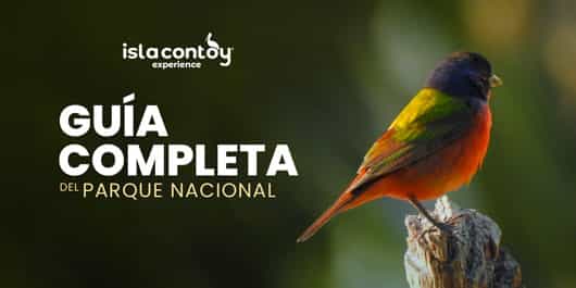 Guía completa del Parque Nacional Isla Contoy del Caribe Mexicano