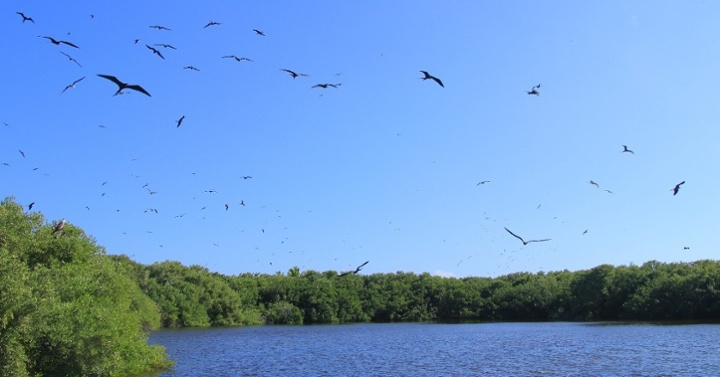 Lago mas grande-1-1-1