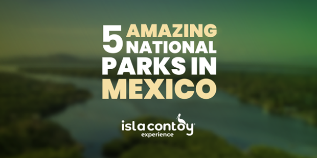 Five most beautiful Mexican National parks you must visit