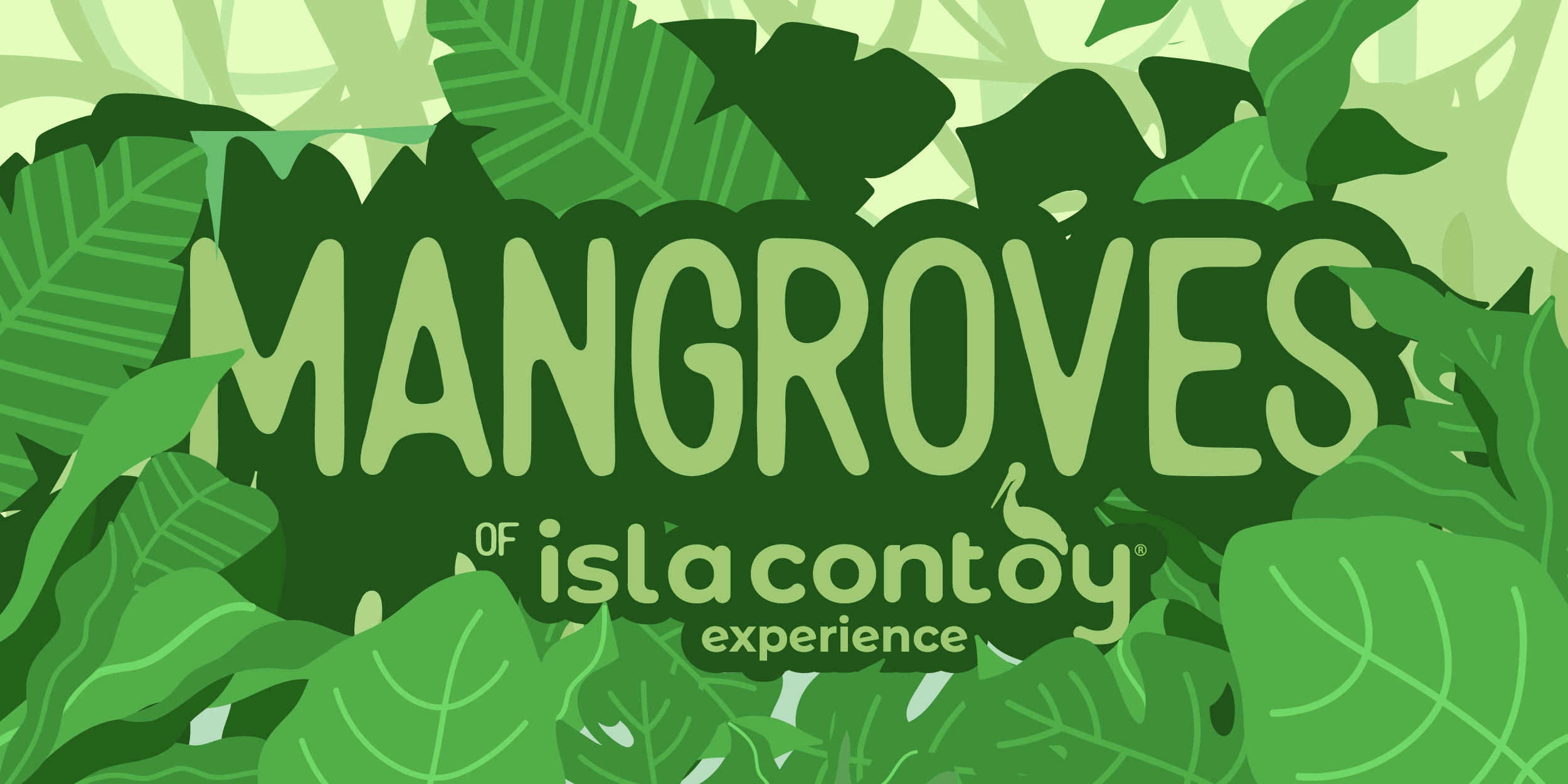 Mangroves Tour to Isla Contoy