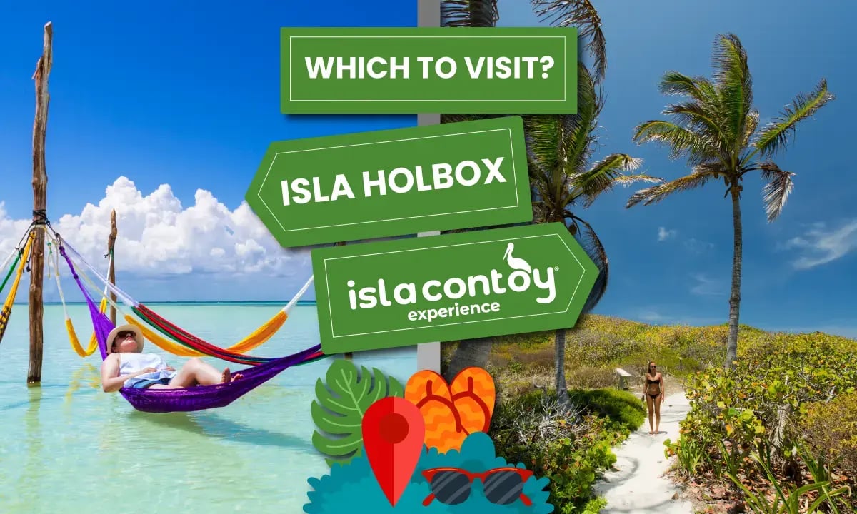 Contoy Island VS Holbox, wich one is better?