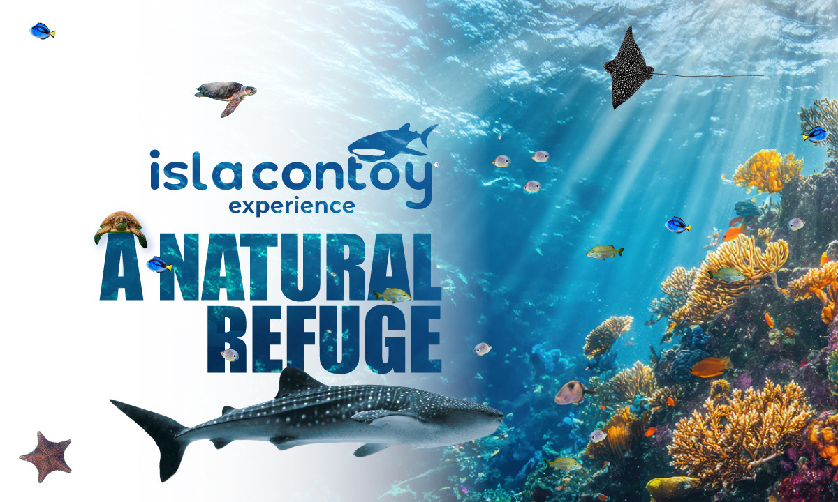 Isla Contoy: A Natural refuge