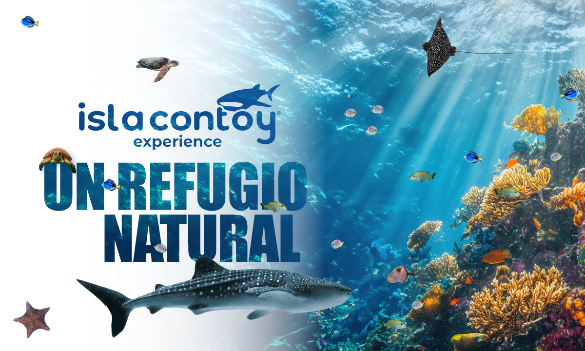 Isla Contoy: Un refugio natural