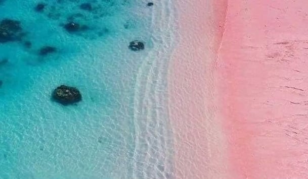 Pink sand beach - Bahamas