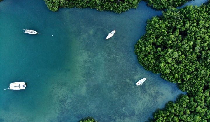 Barcos entre manglares