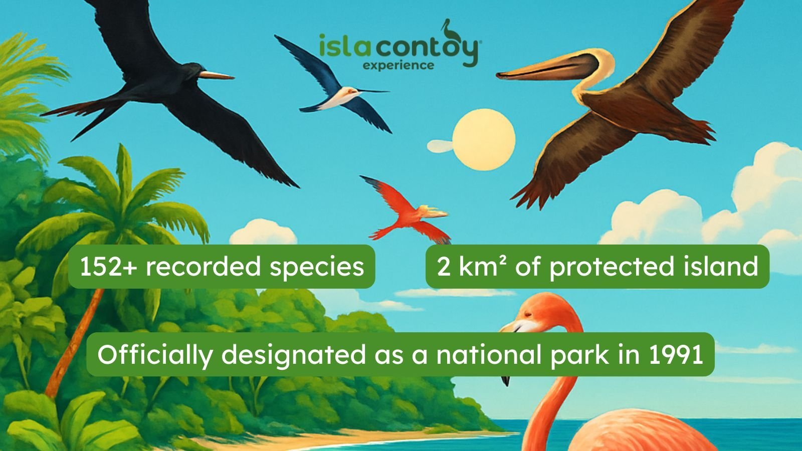 Birdwatching at Isla Contoy