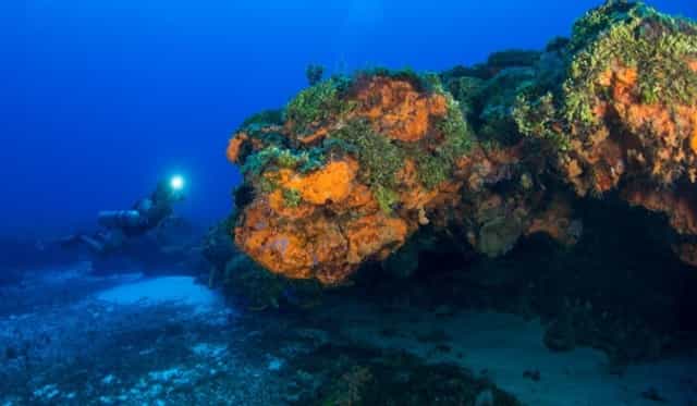 arrecife-buzo-coral-bucear-scuba-1200x600-1-1