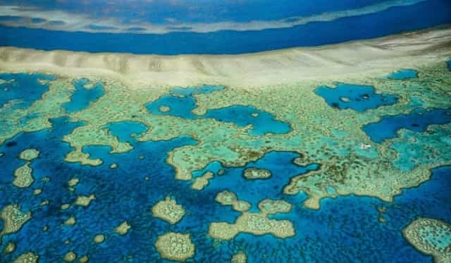 gran-barrera-de-coral-australia-1200x600-1-1
