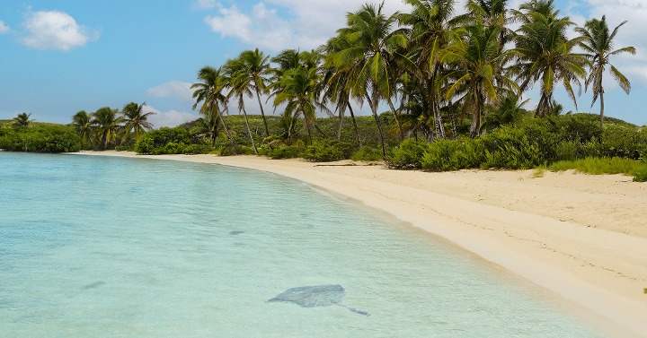 mar-isla-contoy-png-1-1-1