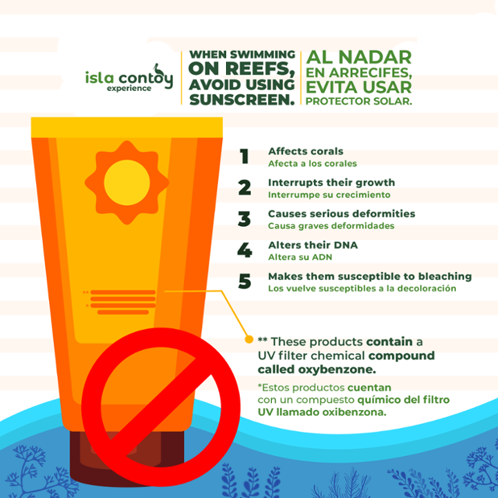 protectores solares_Mesa de trabajo 1-1