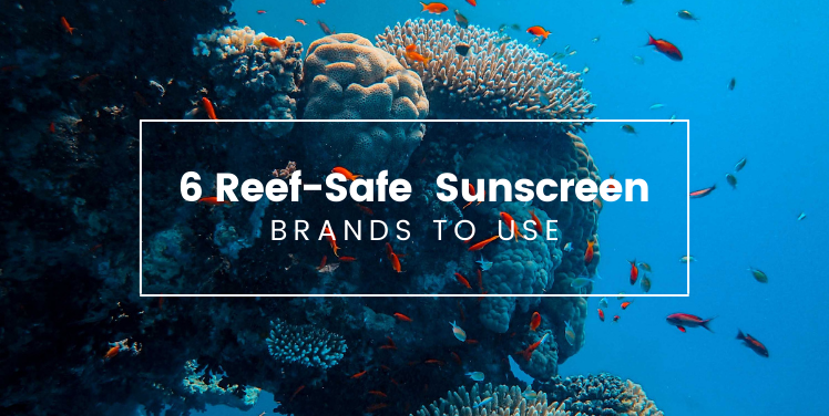 6 Reef-Safe Biodegradable Sunscreen Brands To Use