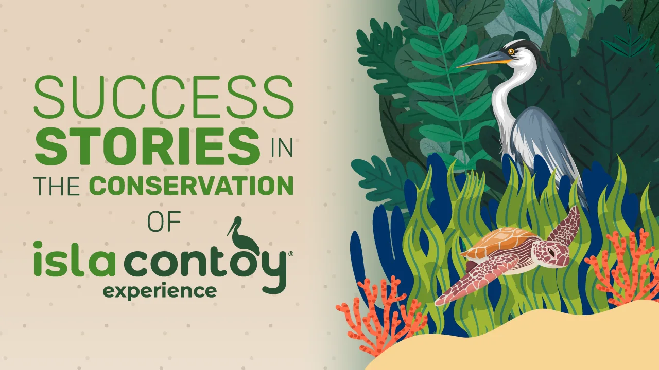 Success stories in Isla Contoy conservation - Banner