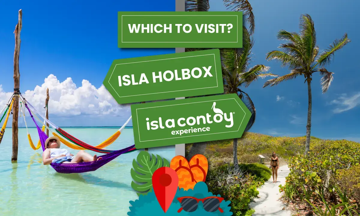 Isla Contoy VS Isla Holbox, which one should you visit? - Quick guide