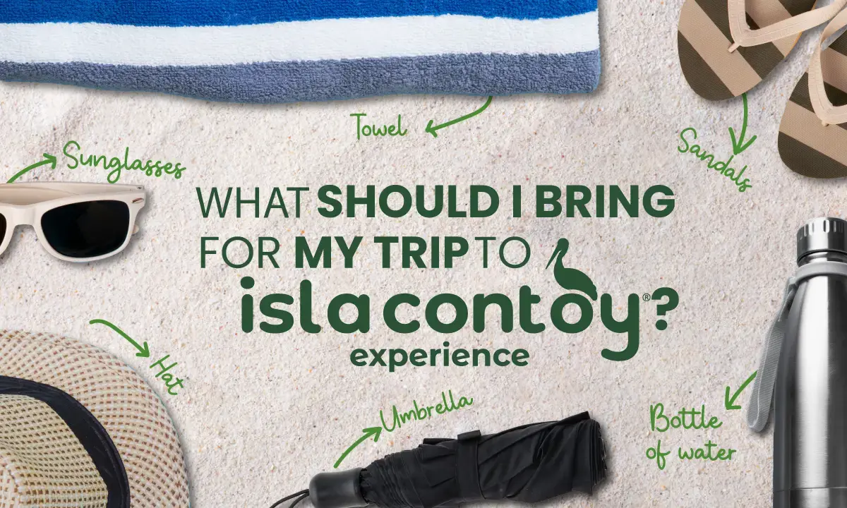 What to Bring and How to Prepare for Your Visit to Isla Contoy?