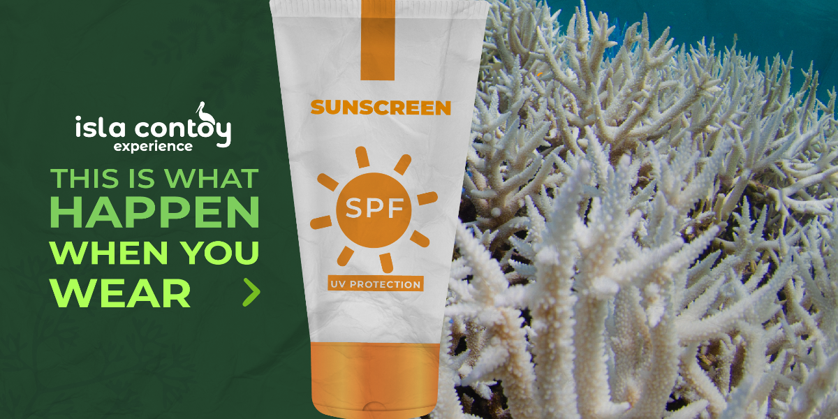 Here's what happens when you wear sunscreen.