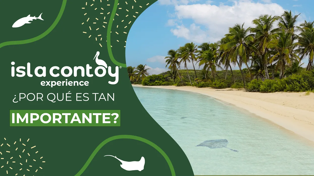 Isla Contoy, un tesoro biológico del Caribe Mexicano